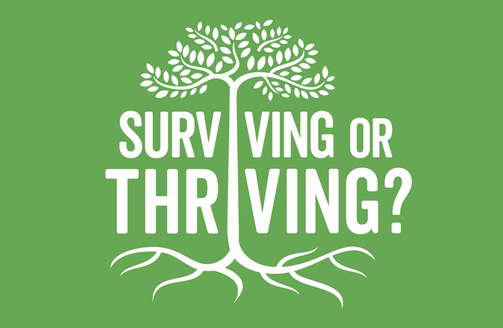 14942414232074216271