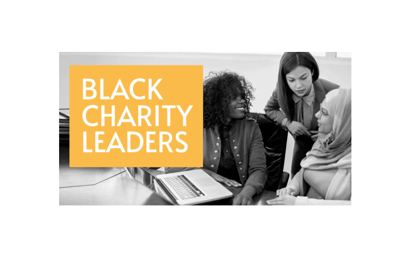 http://Giving%20Black%20Charity%20Leaders